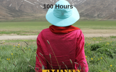 How Are You Spending Your 100 Hours?