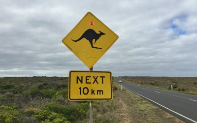 Why Your Story Matters More Than Ever